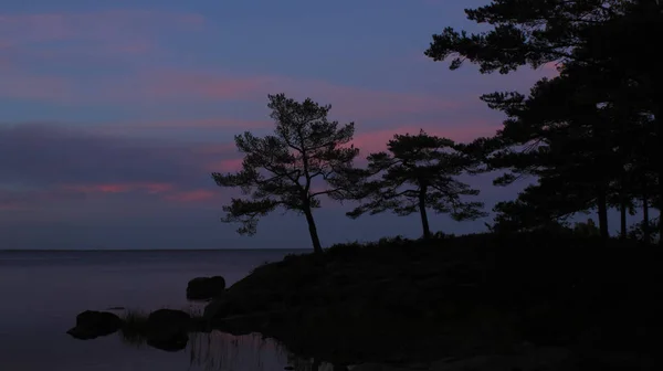 Céu Azul Escuro Árvores Dalsland Suécia — Fotografia de Stock