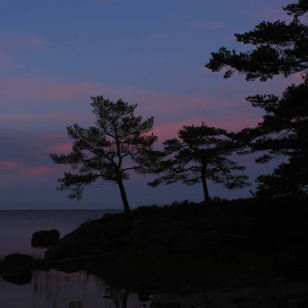 Árboles Orilla Del Lago Vanern Justo Después Del Atardecer —  Fotos de Stock