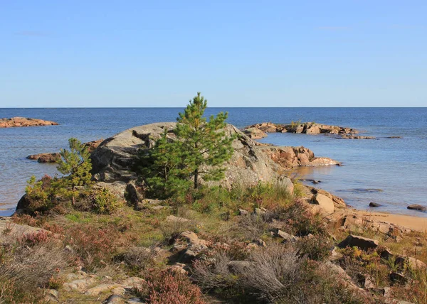 Vue Vita Sannar Suède Paysage Bord Lac Vanern Grand Lac — Photo