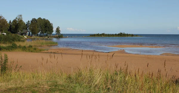 Dia Calmo Verão Vita Sannar Suécia Praia Areia Margem Lago — Fotografia de Stock