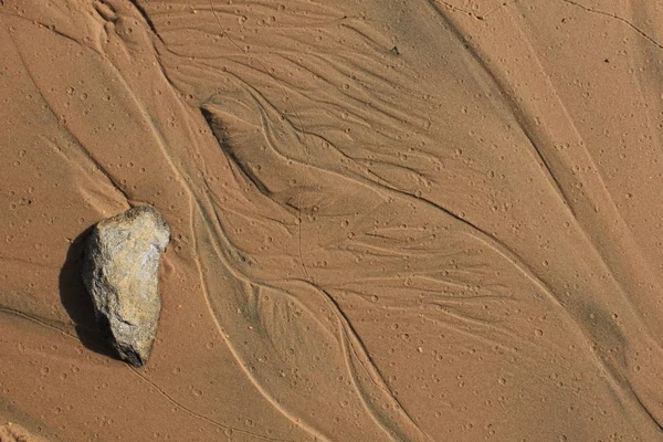 Kumda Doğal Desen — Stok fotoğraf