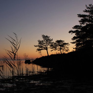 Vanern Gölü kıyısında büyüyen ağaç ve bitki siluetleri..