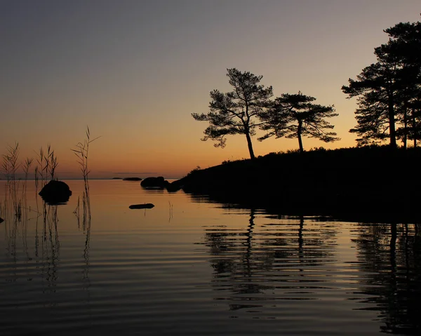 Árvores Refletindo Lago Vanern Uma Calma Manhã Verão — Fotografia de Stock