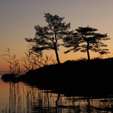 Ağaçların ana hatları ve Vanern Gölü üzerinde parlak turuncu sabah gökyüzü..