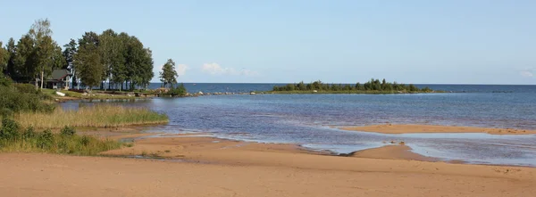 Sandstrand Träd Och Blå Sjön Vanern — Stockfoto