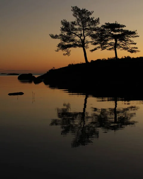 Oude Bomen Weerkaatsen Lake Vanern Zweden — Stockfoto