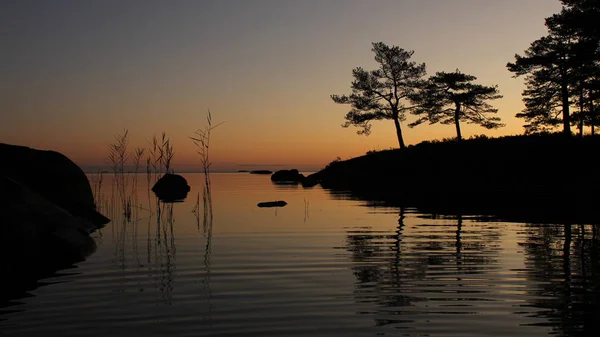Nascer Sol Calmo Verão Dalsland Suécia — Fotografia de Stock