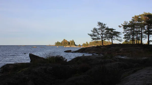 과작은 녹색의 섬들로 이루어진 호수의 — 스톡 사진