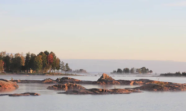 Скалы Деревья Осенним Утром Вита Саннар Швеция — стоковое фото