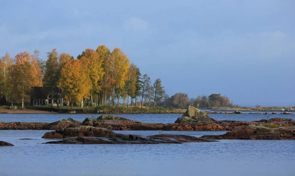 Gouden Bomen Aan Oever Van Het Vanernmeer — Stockfoto