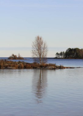 İsveç, Dalsland 'da sakin bir sonbahar günü..