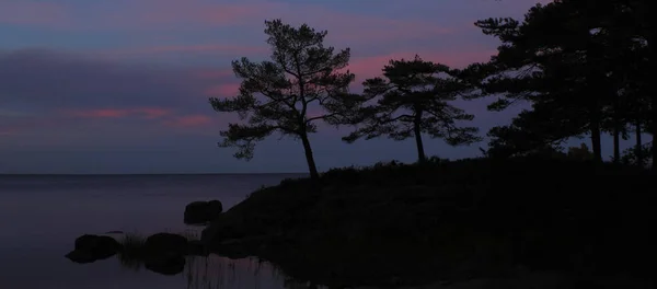 Rosa Blauer Abendhimmel Und Bäume Dalsland Schweden — Stockfoto