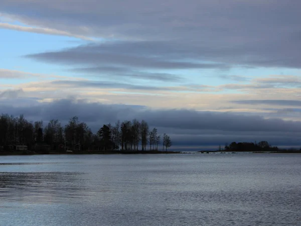 Träd Vid Stranden Sjön Vanern Och Höstmoln — Stockfoto