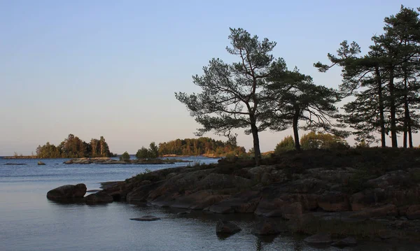 호수의 강변에 나무들 — 스톡 사진