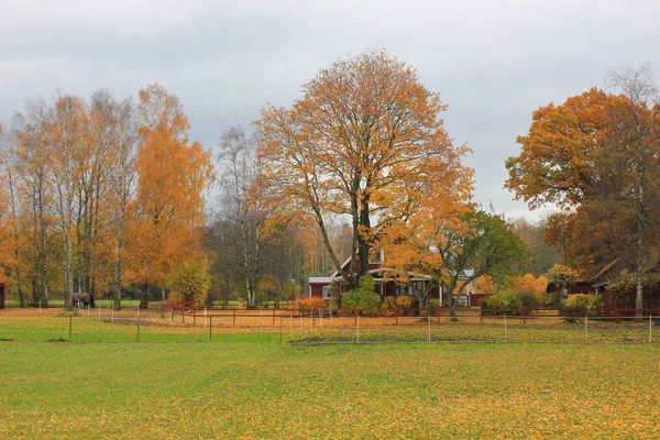 Escena Otoño Rural Suroeste Suecia Árboles Coloridos Casita Escondida Detrás — Foto de Stock