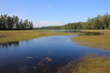 Açık bir yaz gününde Marsjon Gölü kıyısında.