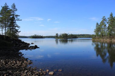 Marsjon Gölü ve bir yaz gününde orman.