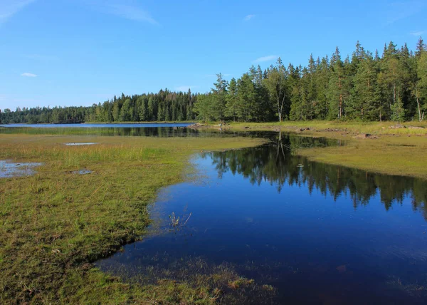 Landscape near Backefors, Dalsland, Sweden. Lake Marsjon and forest.