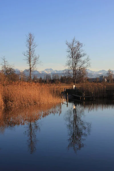 Ufer Des Pfaffikon Sees Einem Wintertag — Stockfoto