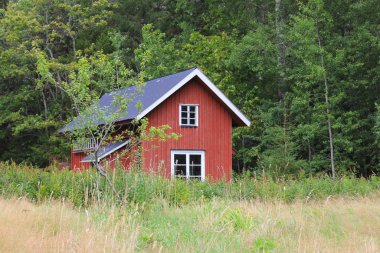 Dalsland 'da kırmızı kulübe ve orman; İsveç.