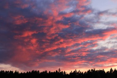 İsveç, Dalsland 'da dramatik akşam gökyüzü.