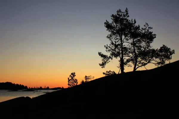 Strom Břehu Jezera Vanern Při Východu Slunce — Stock fotografie