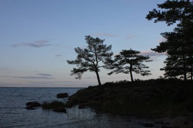 İsveç, Vita Sannar 'da akşam sahnesi.