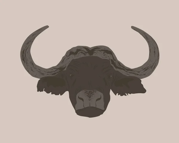 Búfalo Macho Con Cuernos Bisonte Marrón Vida Silvestre Africana Safari — Vector de stock