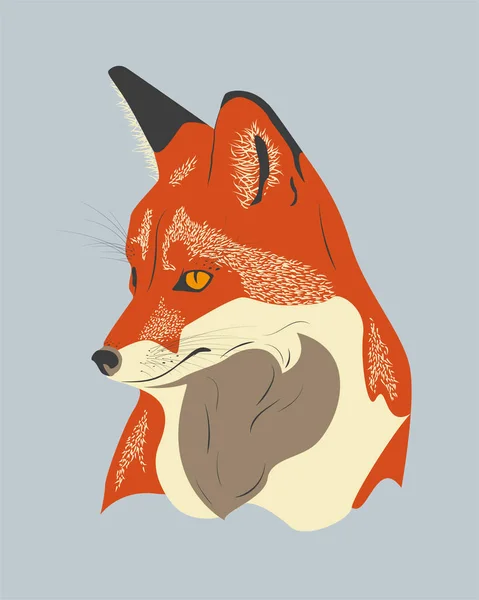 Porträt Eines Rotfuchses Wildfuchsbeobachtung Seitwärts Isolierte Wald Tier Vektor Zeichnung — Stockvektor