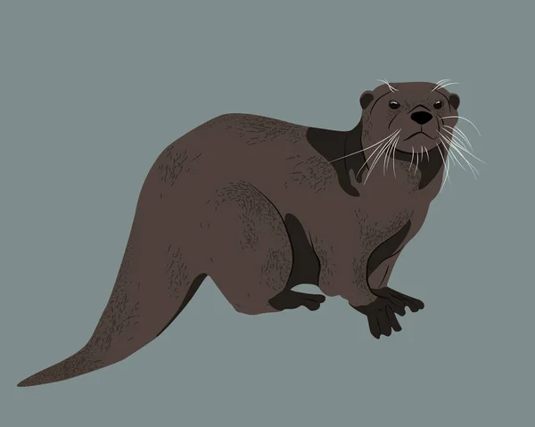 Disegno Vettoriale Realistico Una Lontra Animale Selvatico Grande Nuotatore Otter — Vettoriale Stock