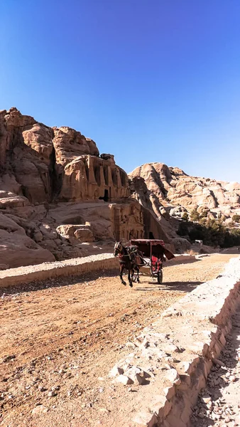 At arabasıyla çekildi. Bedeviler at arabasında. Petra rezervinde hayvan nakli.