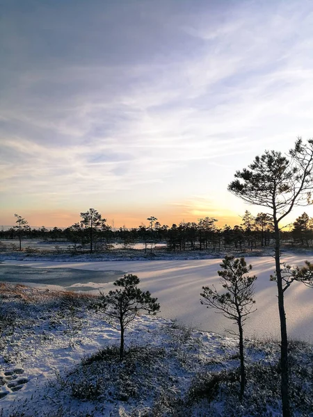 Ulusal park Kemeri. Letonya 'da sulak alan rezervi. Doğa koruma alanındaki turist rotası. Letonya 'da turistik bir yer. Kuzey Avrupa 'yı ziyaret etmek.