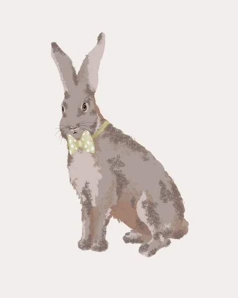 戴着绿色领结的绅士兔子坐在白色的背景上 真实地描绘了一只全身上下都戴着领带的典雅兔子 手绘毛兔图解 — 图库照片