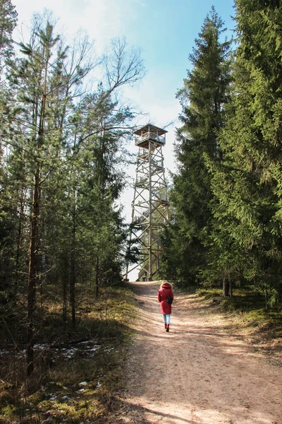 Procházím Přírodním Parku Zkoumání Lesních Stezek Hledání Rozhledny Parku Ogre — Stock fotografie