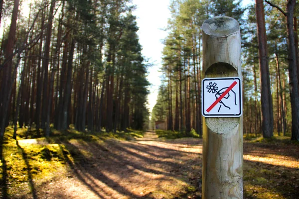 Maak Een Wandeling Het Natuurpark Van Ogre Letland Verboden Bord — Stockfoto