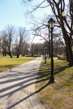 Riga, Letonya 'daki Central Park' taki yürüyüş patikalarından biri. Çevrede kimse yokken halka açık bir parkta yürüyüş yapmak.. 