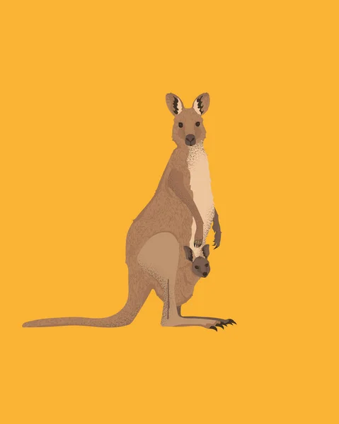 Maman Kangourou Cachant Son Enfant Dans Une Poche Femme Australienne — Image vectorielle