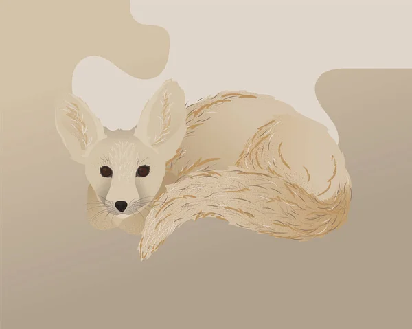 Vector Fennec Raposa Com Orelhas Grandes Deitado Raposa Deserto Com —  Vetores de Stock