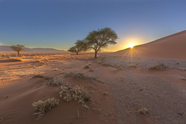 Kumul güneş doğarken