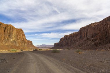 Titreme ağaç Kanyon
