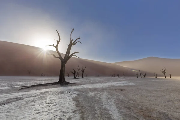 Dooievlei で砂丘の上太陽バースト — ストック写真