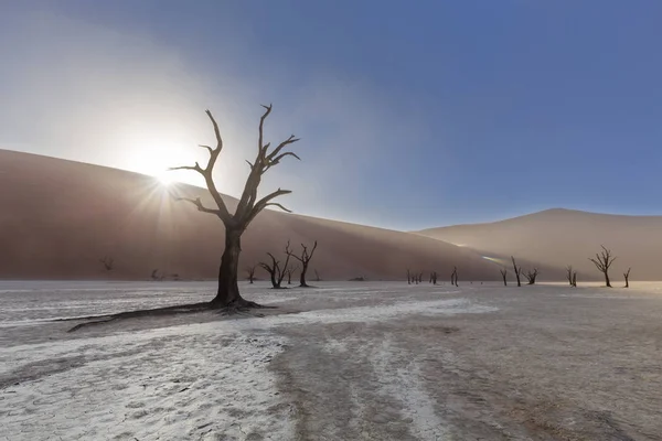 Sol estouro sobre a duna em Dooievlei — Fotografia de Stock