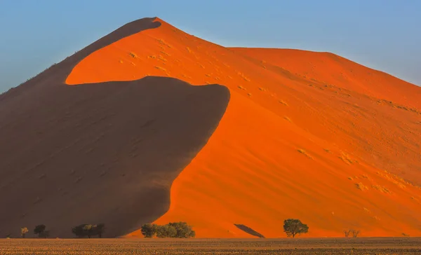 High dune in Namib-Naukluft NP — ストック写真