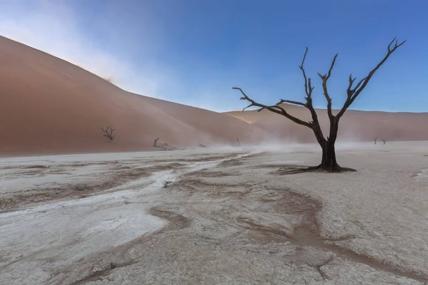 Dust storm in Dooievlei — Stock Photo, Image