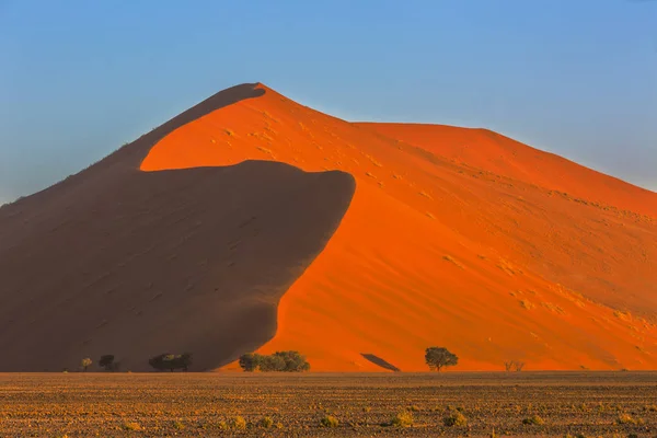 Duna de arena roja y árboles de camelthorn — Foto de Stock