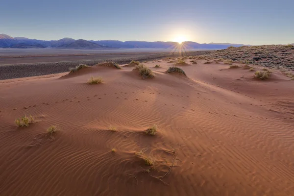 Patronen in het zand bij zonsopgang — Stockfoto