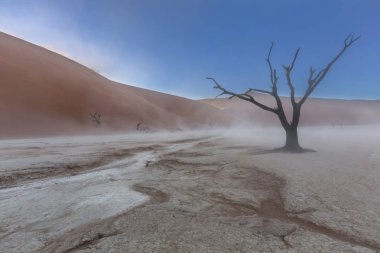 toz fırtınası'nda dooievlei