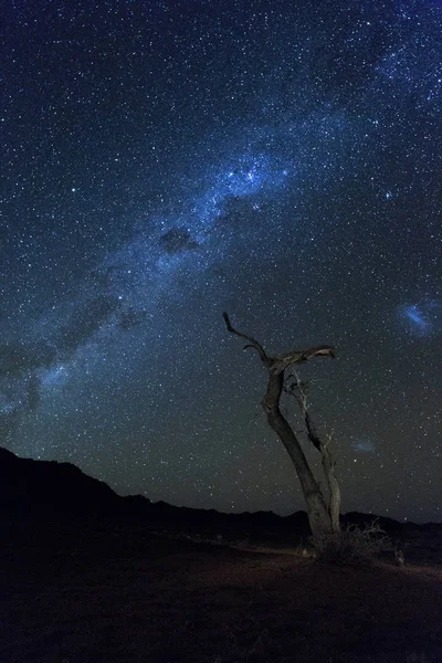 Árbol muerto bajo la Vía Láctea —  Fotos de Stock