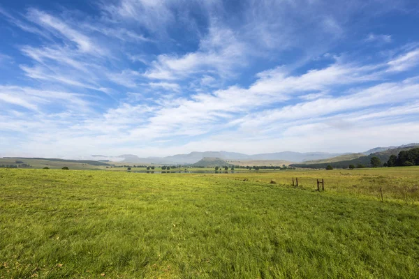 Green pastures and thin clouds — Stock Photo, Image