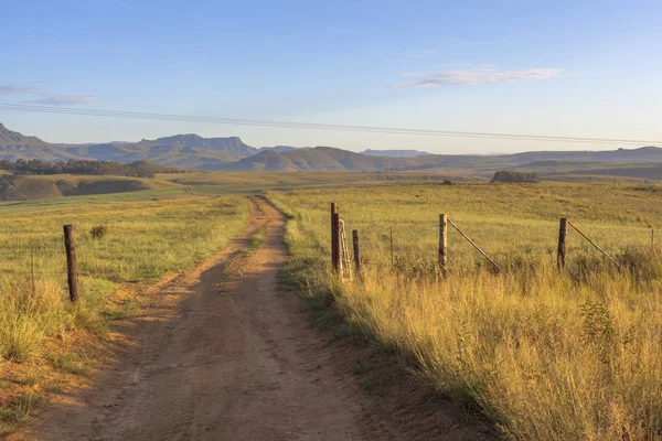 Open gate and farm road — Stock Photo, Image